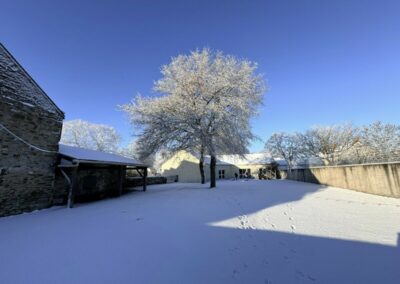 611803931_1416788037124259_2149081031125581216_n