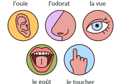 Capture d'écran 2026-02-19 155758